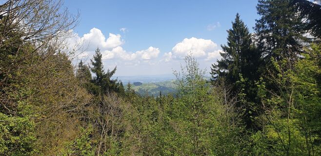 Fotó a Hans-Rudolf Held honlapról a túra során