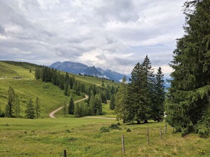 Foto von Olaf Schutten entlang der Tour