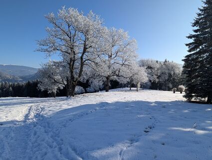 Foto von Thomas Fischer entlang der Tour