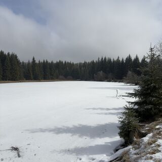 Fotografia z Steffen Kiesel na trase