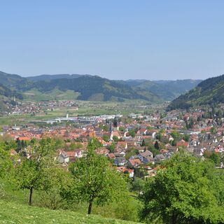 Aussicht auf Haslach