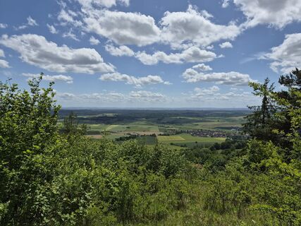 Photo de Wollomator le long du parcours