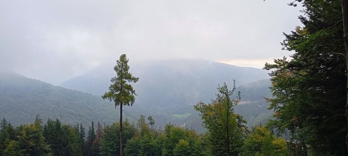 Foto von Harald Puschacher entlang der Tour