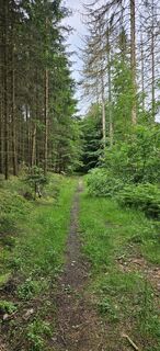 Foto von Andreas Henning entlang der Tour