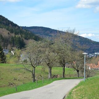 Blick in das Untere Gaistal