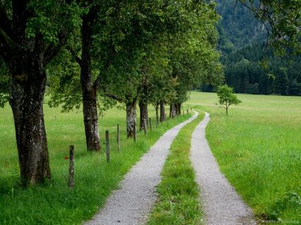 Etappe 4 - Griesenau nach Gasteig