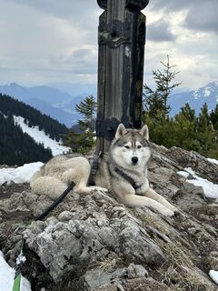 Fotografia z Hieronimus Nickl na trase