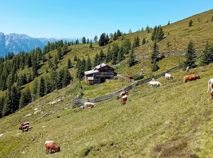 Photo de Wolfgang Mairhofer 2 le long du parcours