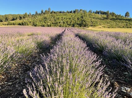 Fotografia z Marina I na trase