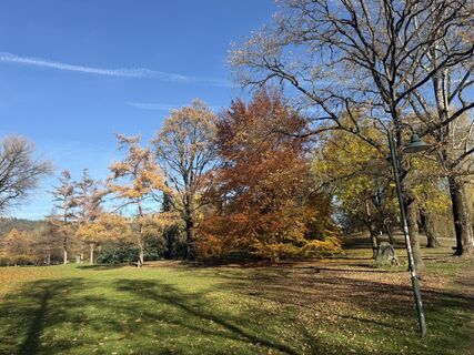 Fotografia z weichbo na trase