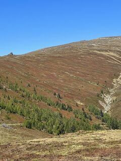 Fotografija s spletne strani Schabsi na poti