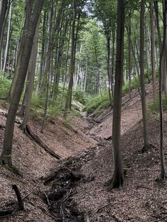 Photo de Reti Alicia le long du parcours