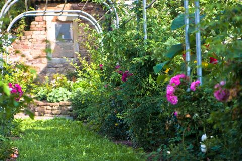 Pirminiusgarten in Altheim mit Rosen