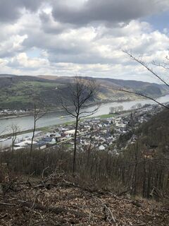 Fotografija s spletne strani BieneM na poti