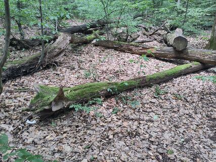 Photo de katrin.ecker le long du parcours