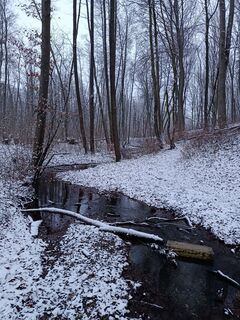 Fotografija s spletne strani Ralf Reiniger na poti