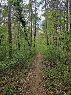 Photo de Bernhard Rieder le long du parcours