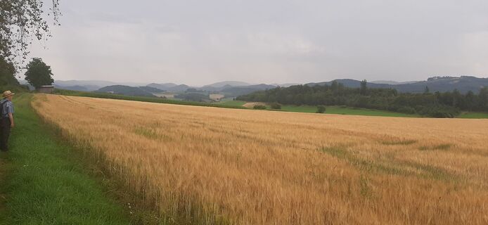 Foto de Georg Meisterjahn a lo largo del recorrido