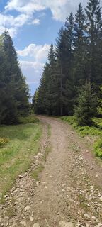 Fotografia z Roman “tatino333” Spaldon na trase