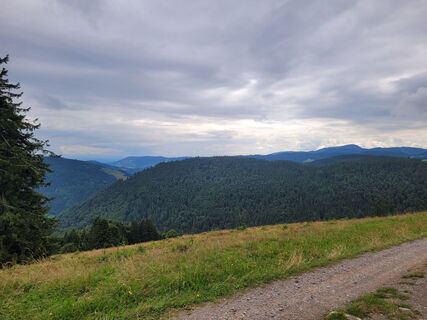 Zdjęcie z Liddeldi wzdłuż trasy