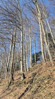 Foto von Thomi W entlang der Tour