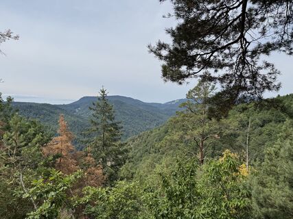 Photo de Adnan Cemal le long du parcours