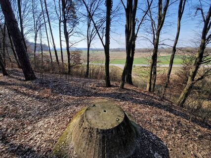 Fotografija s spletne strani Szomi Balázs na poti
