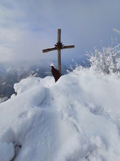 Photo de Angelika Poschinger-Reh le long du parcours