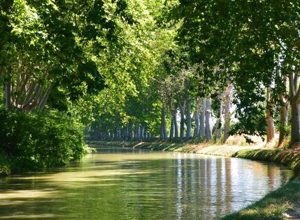 Der Canal du Midi in Richtung Capestang