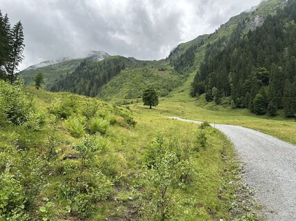 Foto von 2010schartige entlang der Tour