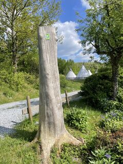 Tipizelte an der Sauerland-Waldroute
