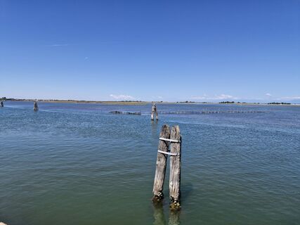 Foto von Daniela Gether-Rauch entlang der Tour