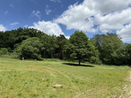 Fotografija s spletne strani Jürgen Berth na poti