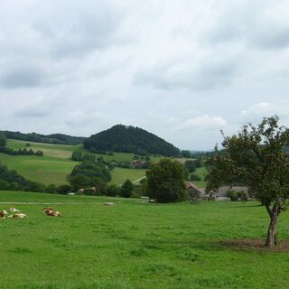 Blick vom Fuchsbauer zur Ruine St. Pankraz