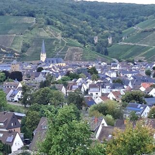 Foto von Rentnerin2025 entlang der Tour