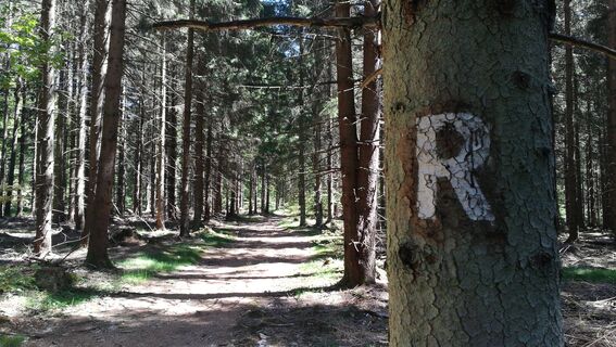 Von Rodacherbrunn zum Titschendorfer Floßteich