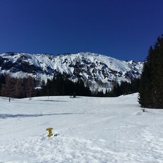 Schneeschuhtour - Schüttbauernalm (von Niglalm)