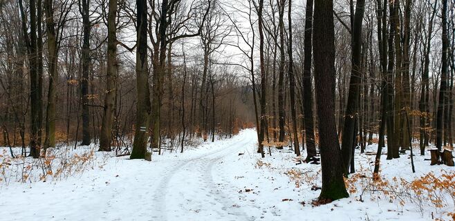 Foto von Georg B. Meier entlang der Tour