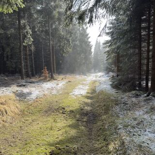 Fotografija s spletne strani Steffen Kiesel na poti