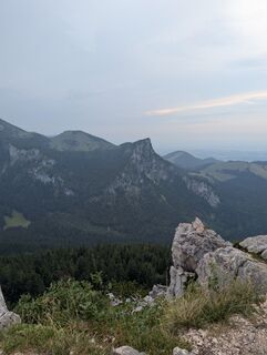 Photo de Stubi le long du parcours