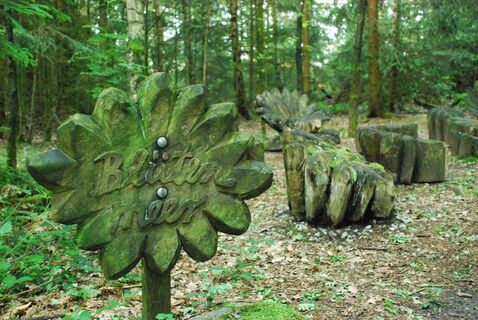 Zauberwald in Fichtenau-Wildenstein