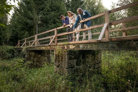 Alte Bahnbrücke Gutenbrunn