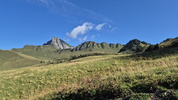 Fotografia z alinradu na trase