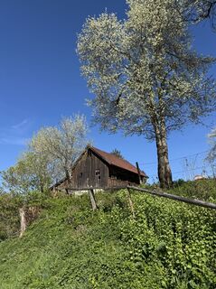 Foto de Denise Miller a lo largo del recorrido