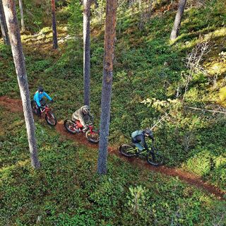 MTB-Strecke Finnland Tammela Häme Luchspfad 19 km