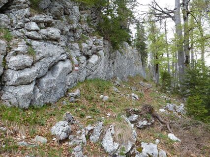 Klagemauer in Wildalpen