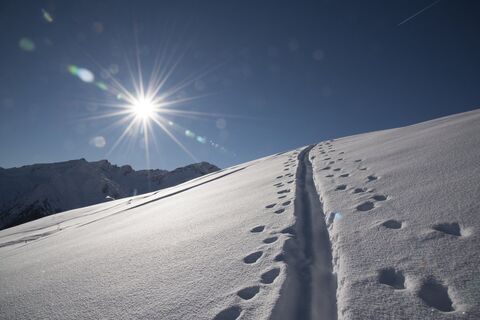 Spuren im Schnee