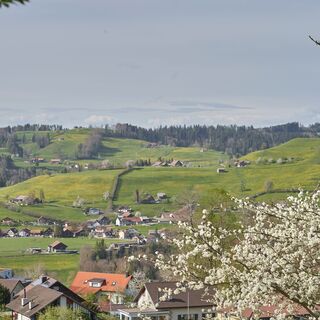 Nassen