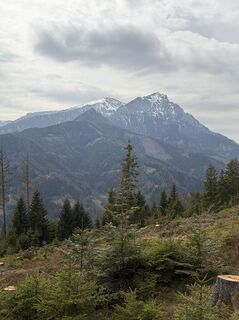 Fotografia z Mandy Friedrich na trase
