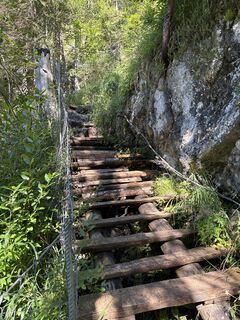 Foto von Grizzli entlang der Tour